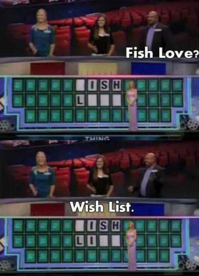 funny game show answers - Fish Love? Thing Wish List. Tietish Sili