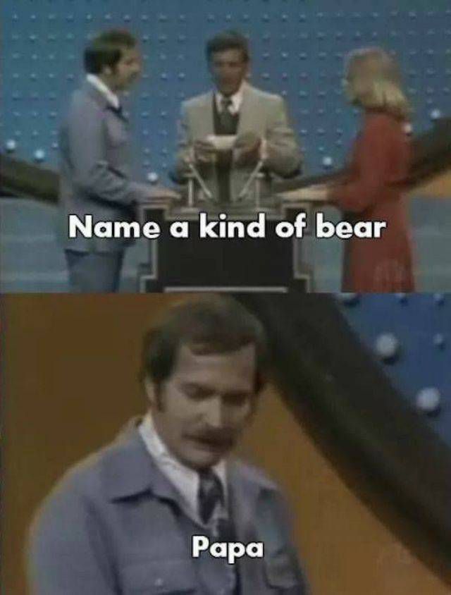 funny game show answers - Name a kind of bear Papa