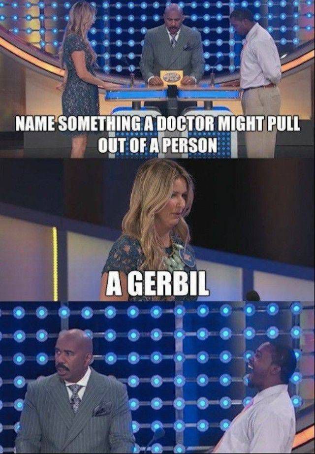 family feud funny meme - Name Something A Doctor Might Pull Out Of A Person A Gerbil