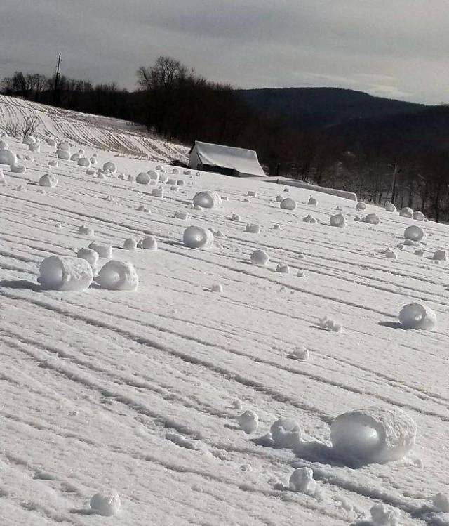 snow rollers