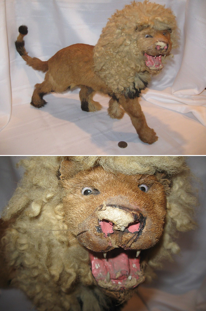 Deeply Upsetting (But Hilarious) Taxidermy Fails