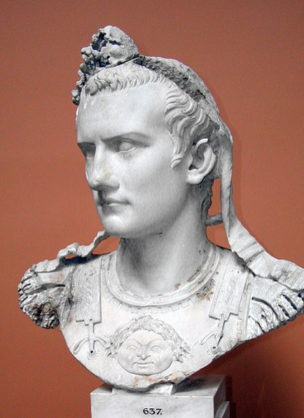 The most ineffective senator ever:Roman emperor Gaius (also known as Caligula) went out of his way to humiliate the Roman senate by making one of his favorite horses a senator.