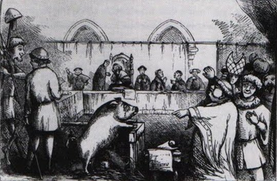 Animals were also regularly put on trial in the medieval ages—and given a death sentence.