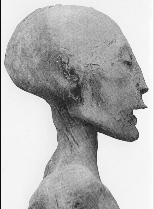 An unfortunate lineage:King Tut’s parents were recently confirmed to be siblings. DNA from the mummified remains of Tut’s mother revealed her to be both mother to Tut, and sister of his father Akhenaten.