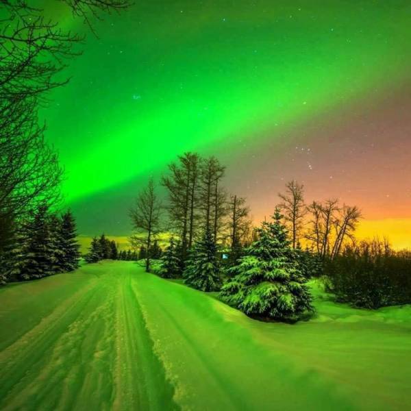 Northern Lights reflecting off the snow.
