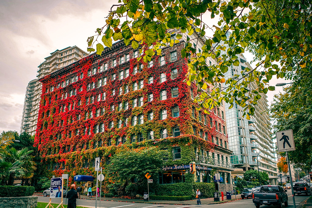 This beautiful building is the Sylvia Hotel in Vancouver, BC.