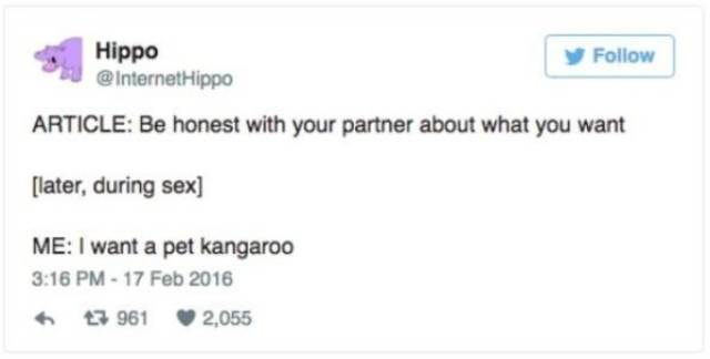 diagram - Hippo Hippo Article Be honest with your partner about what you want later, during sex Me I want a pet kangaroo 6 47 961 2,055
