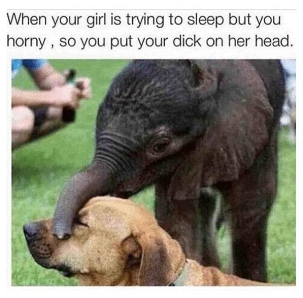 your girl is trying to sleep - When your girl is trying to sleep but you horny , so you put your dick on her head.