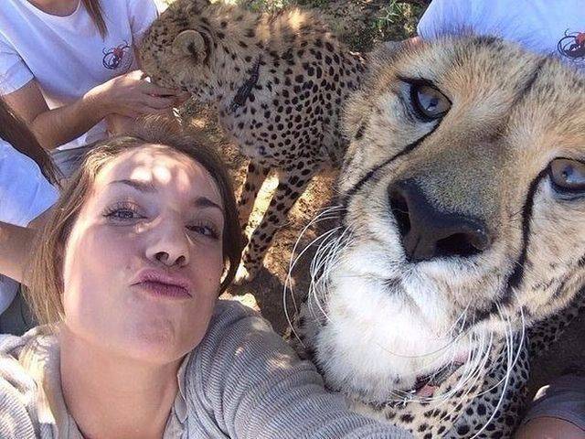 Duck face and lion face in one picture
