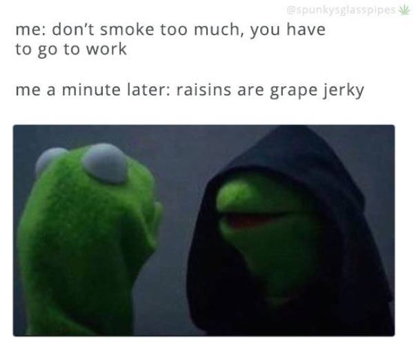 funny kermit memes - de me don't smoke too much, you have to go to work me a minute later raisins are grape jerky