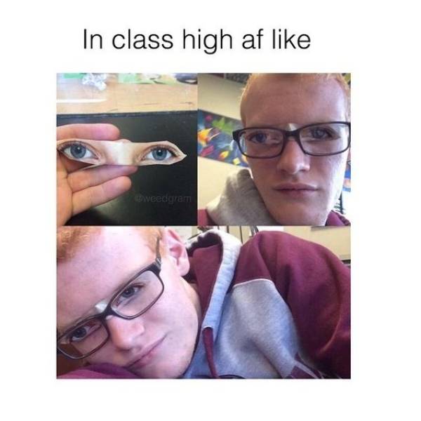 stoner memes high - In class high af tweedgren