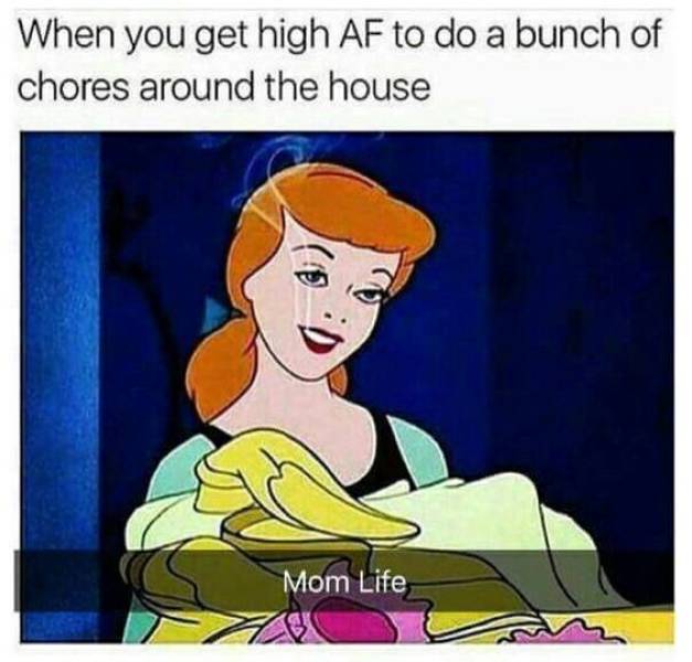 Stoner - When you get high Af to do a bunch of chores around the house Mom Life
