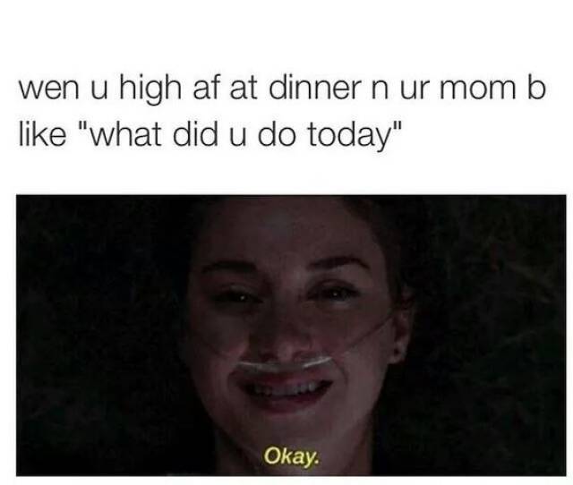 stoner memes twitter - wen u high af at dinner n ur mom b