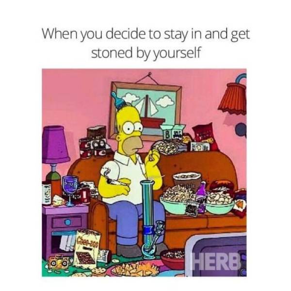 funny stoner memes cartoon - When you decide to stay in and get stoned by yourself Herb