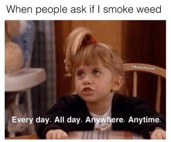 stoner memes - When people ask if I smoke weed eBuddy The Leat Every day. All day. Anywhere. Anytime.