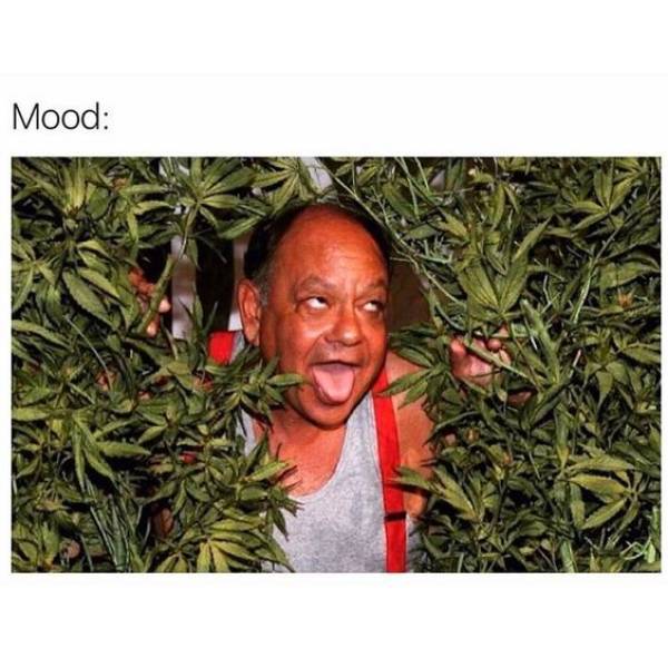tree - Mood