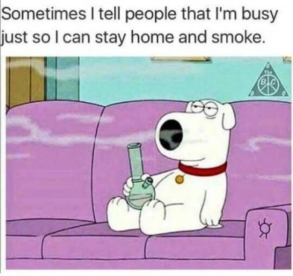 dopey gif - Sometimes I tell people that I'm busy just so I can stay home and smoke.