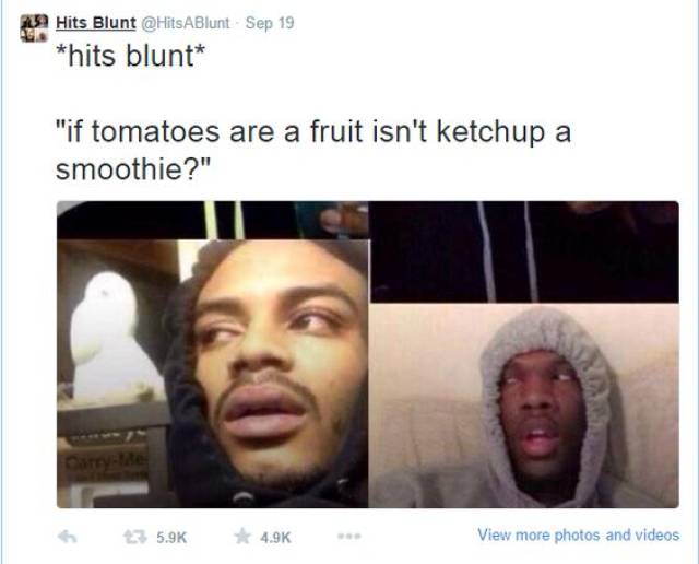 funny stoner thoughts - 339 Hits Blunt ABlunt Sep 19 hits blunt