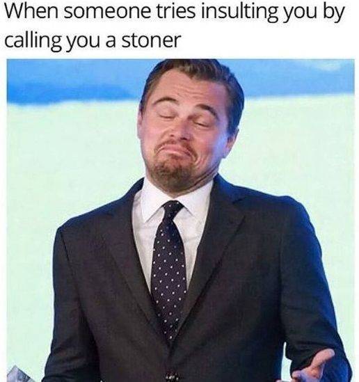 leonardo dicaprio funny - When someone tries insulting you by calling you a stoner
