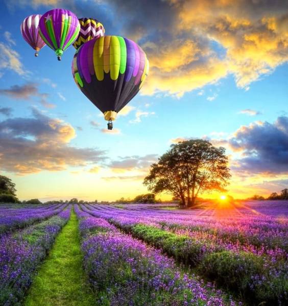 beautifulhot air balloons