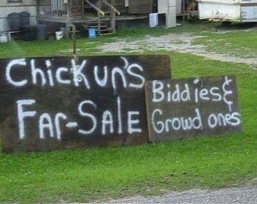 Kentucky-Points for selection and variety.

Deductions for spelling, grammar, and just about everything else.