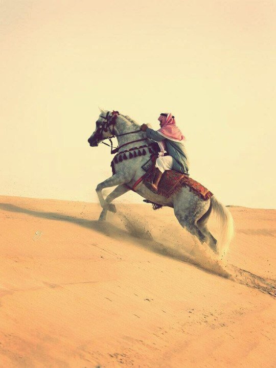 arab horse riding men