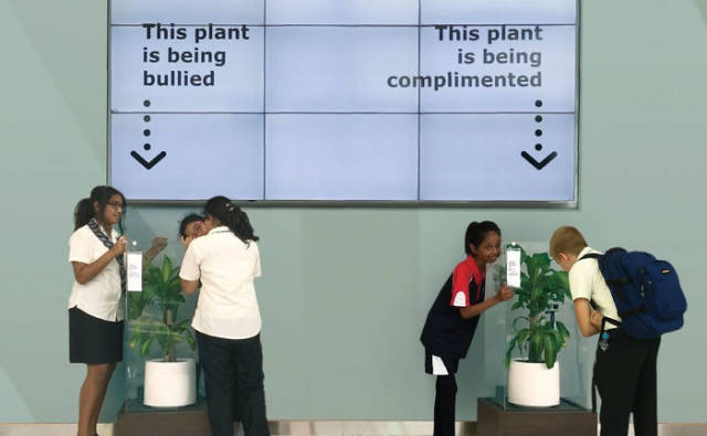 This plant is being bullied This plant is being complimented