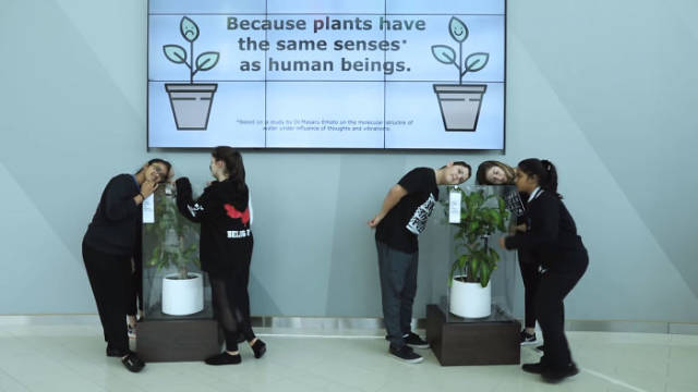 Because plants have the same senses as human beings.