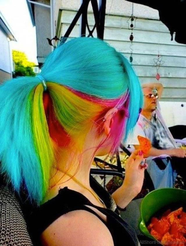 exotic hair colors - AllShorthaigesom