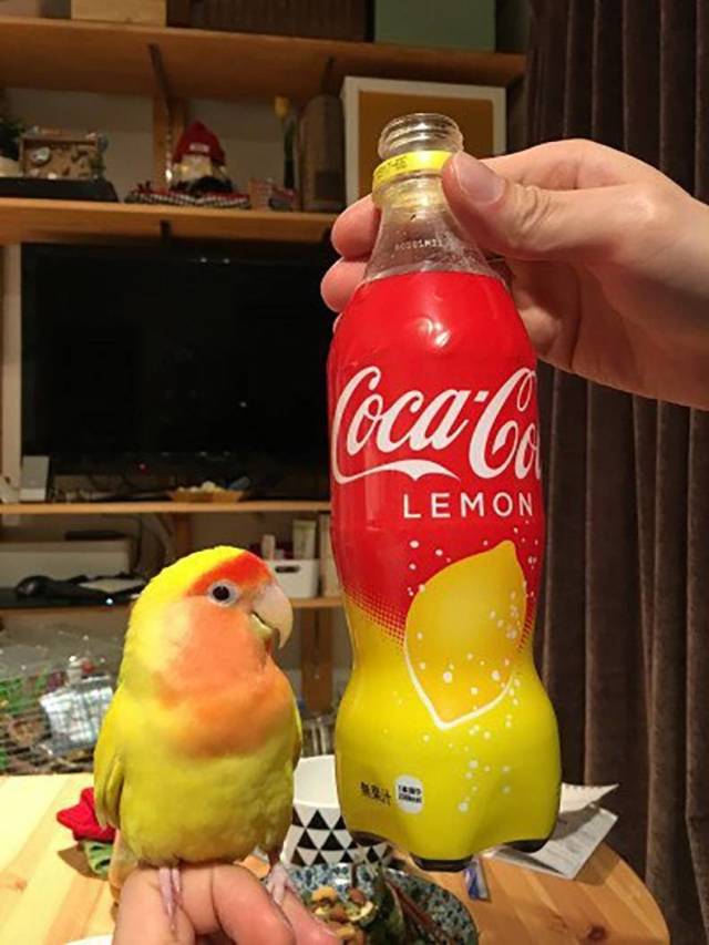 coca cola - ocaC Lemon