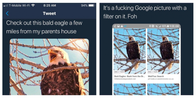 all TMobile WiFi 94% 'It's a fucking Google picture with a filter on it. Foh Tweet Check out this bald eagle a few miles from my parents house 483% 6 Bald Eagles Back from the Be letonindependent.net Web Trac Search webct westminst Us