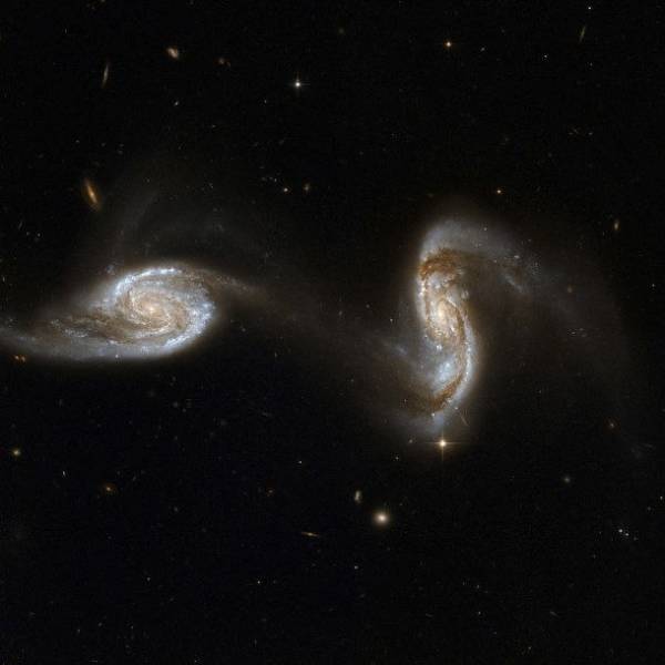 Interacting Galaxies-While some galaxies just go ahead and crash into each other head on, others will try to steal one another’s stars first. What you see above is actually known as tidal stripping where the larger galaxy sucks the stars out of the smaller galaxy before the two merge into one after billions of years.