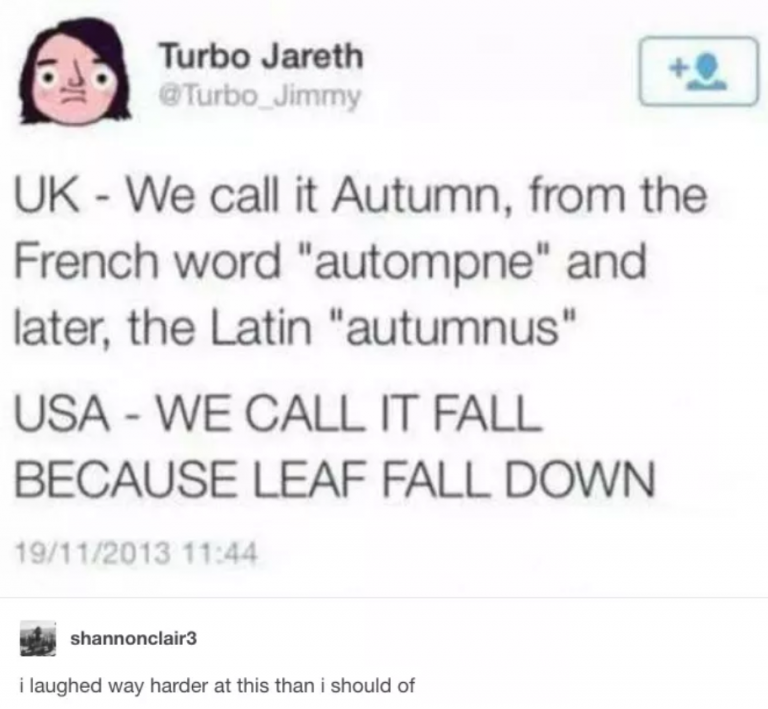 tumblrsmile - Turbo Jareth Uk We call it Autumn, from the French word "autompne" and later, the Latin "autumnus" Usa We Call It Fall Because Leaf Fall Down 19112013 shannonclair3 i laughed way harder at this than i should of