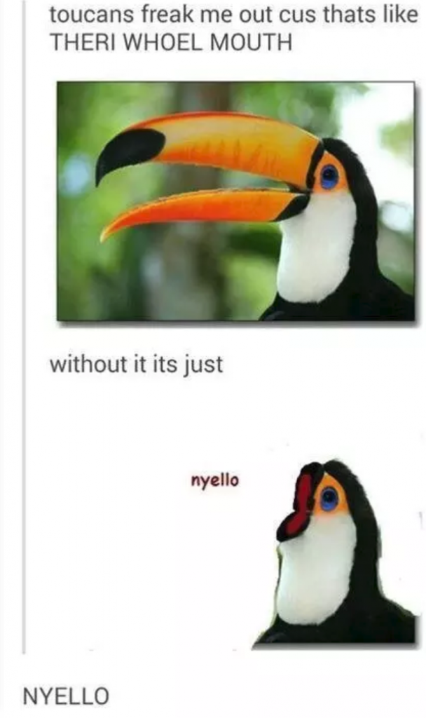 tumblrtoucan without beak meme - toucans freak me out cus thats Theri Whoel Mouth without it its just nyello Nyello