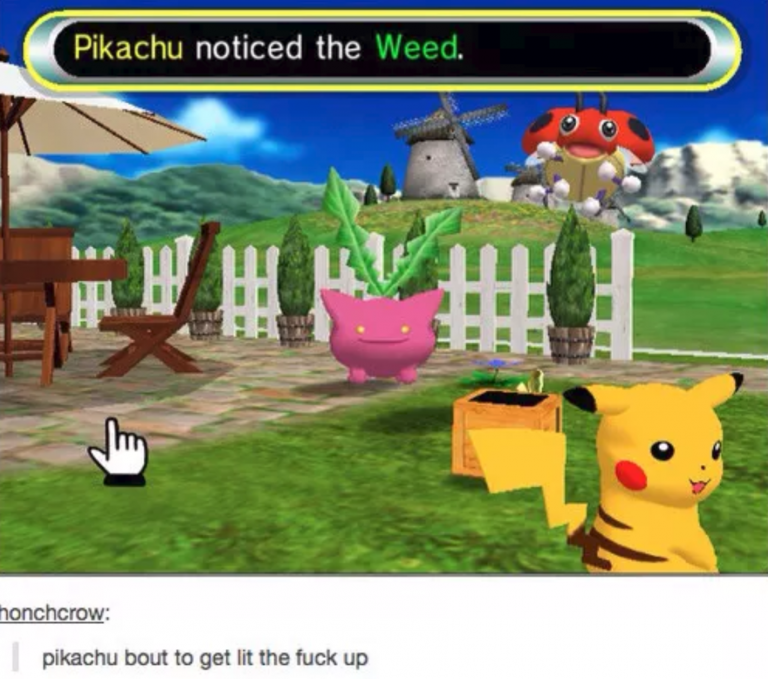 tumblrfunny pokemon tumblr posts - Pikachu noticed the Weed. honchcrow pikachu bout to get lit the fuck up