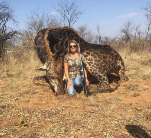 Another day, another rare animal trophy controversy. This time, including a black giraffe. 

The images, taken in South Africa, show an American hunter proudly posing next to the slain wildlife animal.

The hunter, can be seen standing and then sitting beside the black giraffe, whose face is dug into the floor.