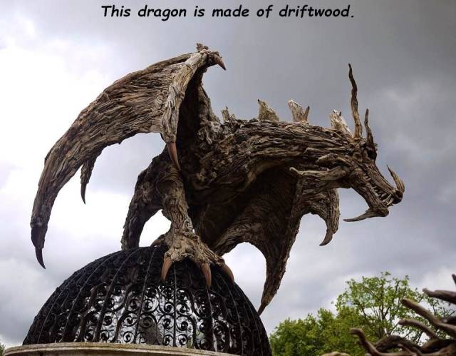 driftwood dragon - This dragon is made of driftwood.