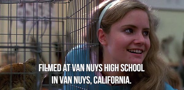 Awesome Facts About Fast Times At Ridgemont High