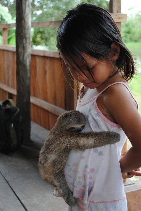 baby sloth hug