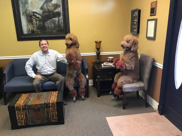 dogs at the vet sitting like good boys
