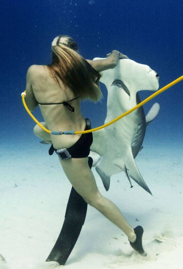 woman snoobaing and petting a hammerhead shark