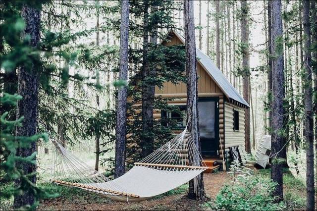 hammock by cabin -