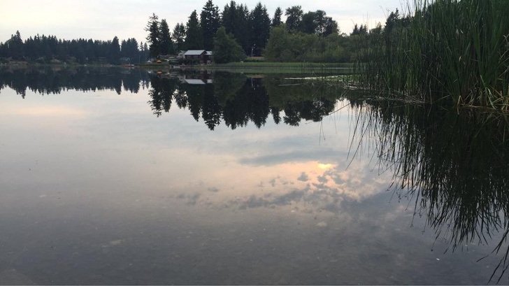 optical illusion took a picture of the water but if you flip it looks like the sky