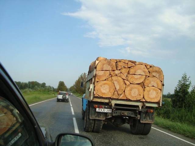 perfectly stacked logs