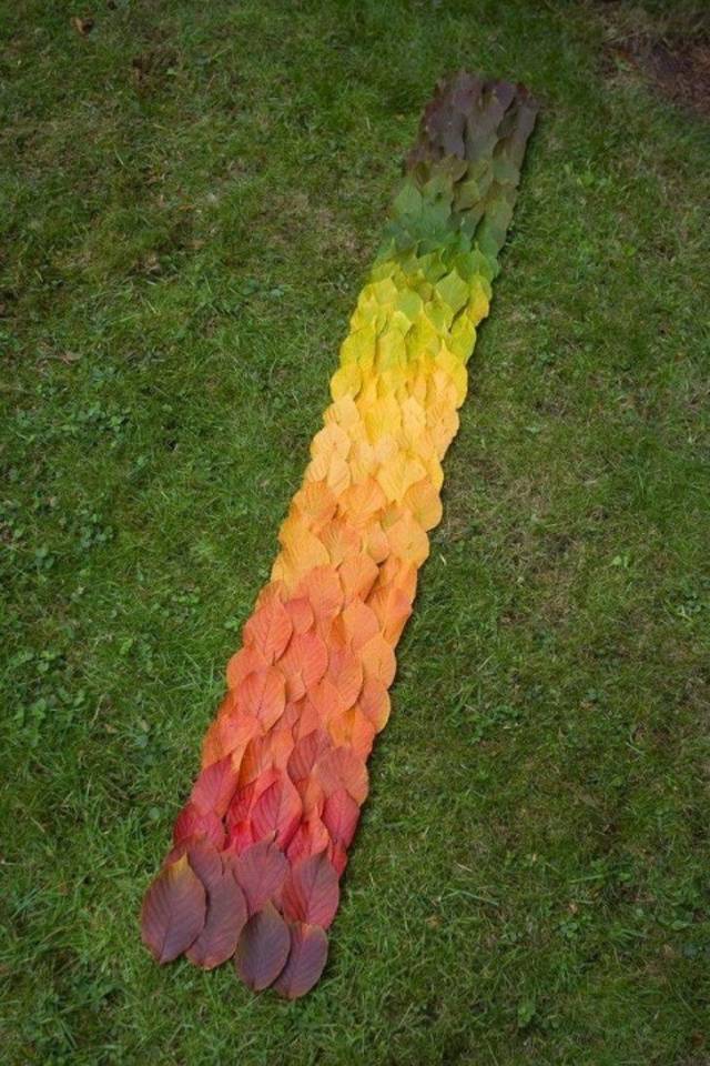 leaves spectrum