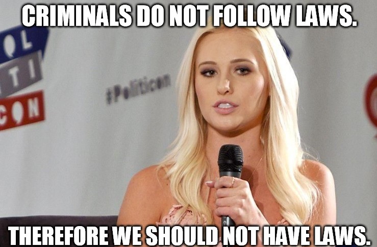 Tomi Lahren - Criminals Do Not Laws. T Con Therefore We Should Not Have Laws.