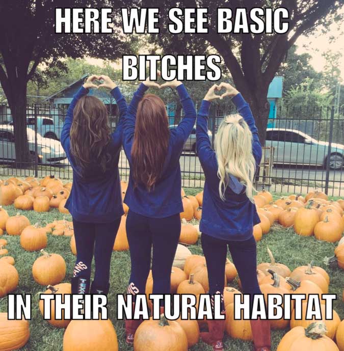 halloween memes - Here We See Basic Bitches In Their Natural Habitat