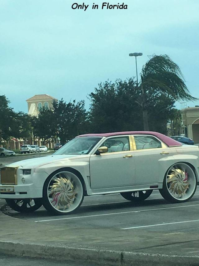 full size car - Only in Florida