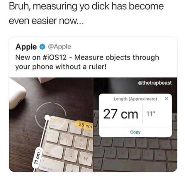 dank measuring dick - Bruh, measuring yo dick has become even easier now... Apple New on Measure objects through your phone without a ruler! Length Approximate X 27 cm 11" 28 cm Copy 11 cm