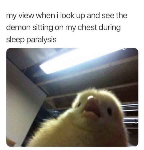 dank sleep paralysis meme - my view when i look up and see the demon sitting on my chest during sleep paralysis